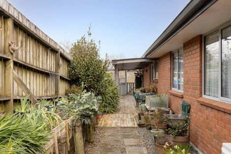 Photo of property in 5 Olive Close, Omokoroa, 3114