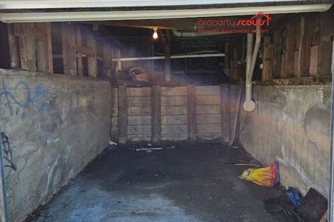 Photo of property in 99 Wallace Street, Mount Cook, Wellington, 6021