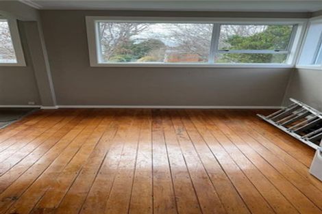 Photo of property in 17 David Street, Hawthorndale, Invercargill, 9810