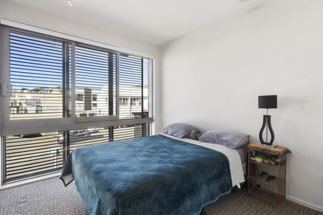 Photo of property in Masina Apartments, 201/80u Riddiford Street, Newtown, Wellington, 6021