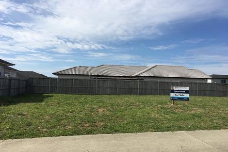 Photo of property in 17 Huamanu Street, Pukekohe, 2120