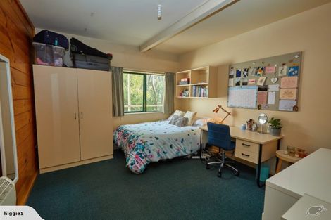 Photo of property in Te Awhina Apartments, 22u1 Sussex Street, Mount Cook, Wellington, 6021