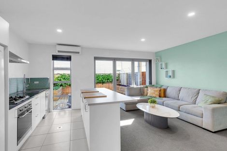 Photo of property in 22 Portland Lane, Chartwell, Hamilton, 3210