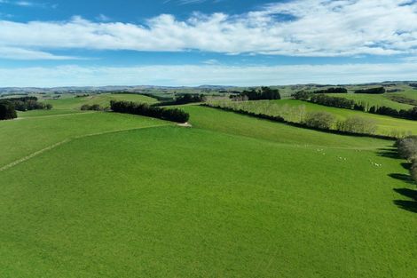 Photo of property in 1446a Clydevale Road, Clydevale, 9274