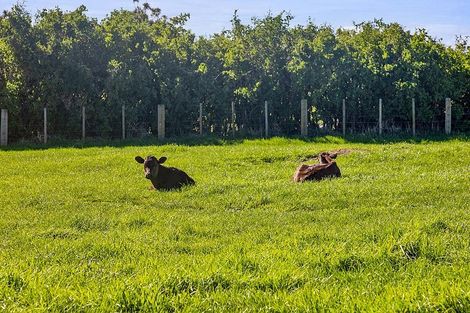 Photo of property in 570 South Road, Hawera, 4672