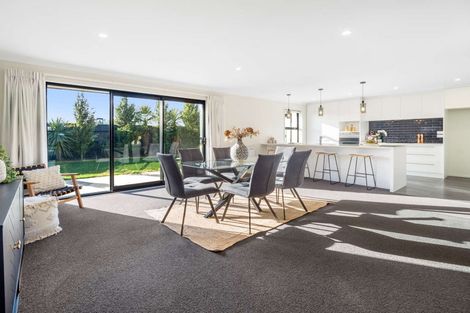 Photo of property in 17 Gemini Place, Rolleston, 7614