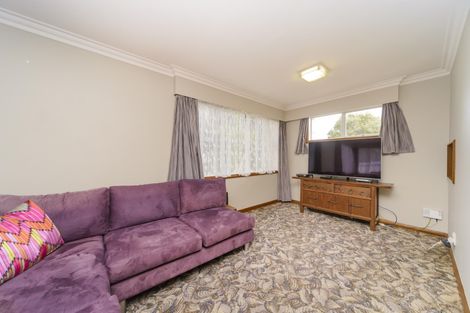 Photo of property in 20 Matipo Street, Takaro, Palmerston North, 4410