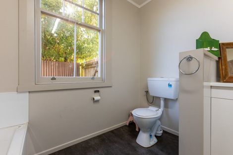 Photo of property in 7 Eric Street, Norsewood, 4974