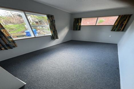 Photo of property in 115 Hornsey Road, Melrose, Wellington, 6023