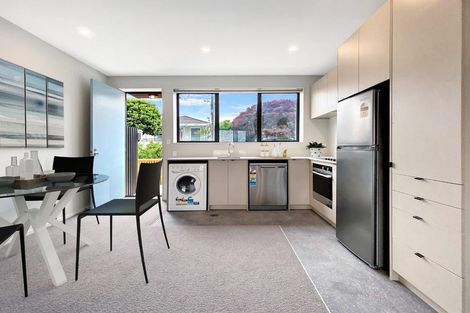 Photo of property in Aniva Terrace, 32 Ferguson Street, Newtown, Wellington, 6021