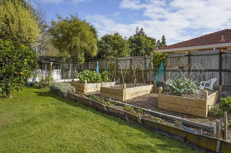 Photo of property in 53 Knighton Road, Hillcrest, Hamilton, 3216