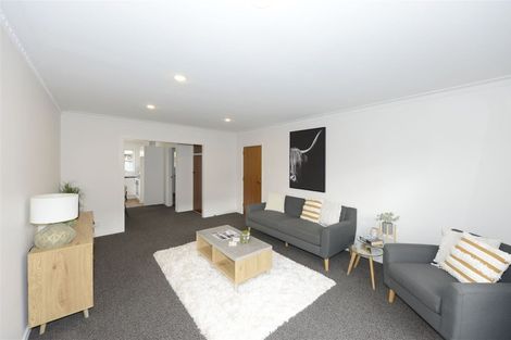 Photo of property in 19 Molesworth Place, Somerfield, Christchurch, 8024