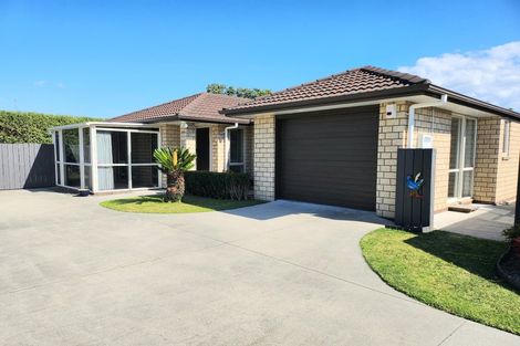 Photo of property in 217b Maungatapu Road, Maungatapu, Tauranga, 3112