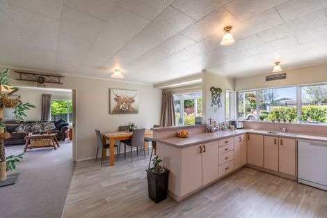 Photo of property in 17 Rose Street, Waipukurau, 4200