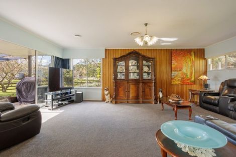 Photo of property in 213 Horahora Road, Piarere, Tirau, 3484