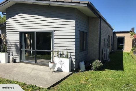 Photo of property in 19 Hillmorton Street, Hillmorton, Christchurch, 8024