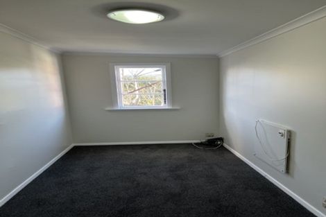 Photo of property in 17 Bidwill Street, Mount Cook, Wellington, 6021