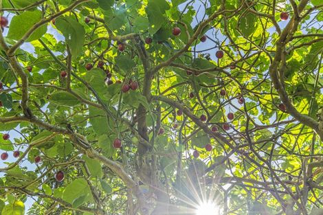 Photo of property in 10b Hickford Place, Okato, 4335