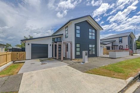 Photo of property in 55 Matamau Street, Palmerston North, 4414