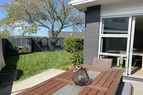 Photo of property in 17 Puni Road, Pukekohe, 2120