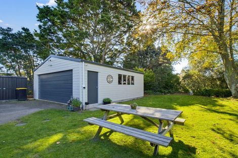 Photo of property in 43 Norfolk Crescent, Feilding, 4702