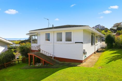Photo of property in 206 Waikiekie Road, Thames, 3500