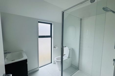 Photo of property in 65 Thackeray Place, Waltham, Christchurch, 8023