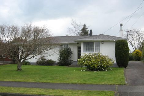 Photo of property in 3 Madden Place, Solway, Masterton, 5810