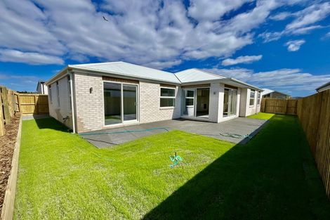 Photo of property in 26 John Gibb Street, Belfast, 8051