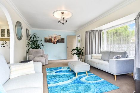 Photo of property in 14 Darley Street, Maeroa, Hamilton, 3200