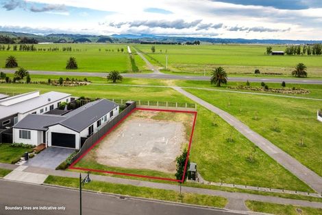 Photo of property in 44 Pelorus Avenue, Poraiti, Napier, 4112