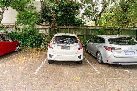 Photo of property in Pukehinau Flats, 4/1 Brooklyn Road, Mount Cook, Wellington, 6011