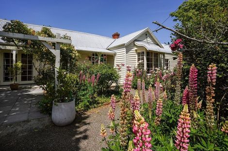 Photo of property in 15 Terrace Road, Leithfield, Amberley, 7481