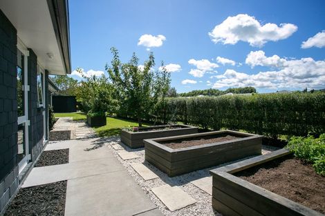 Photo of property in 14 Nikale Street, Cambridge, 3434