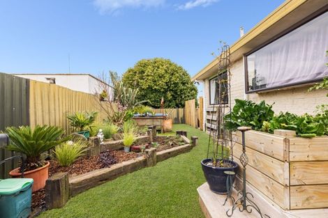 Photo of property in 157b Sixteenth Avenue, Tauranga South, Tauranga, 3112