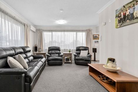 Photo of property in 17 Sholson Street, Putaruru, 3411