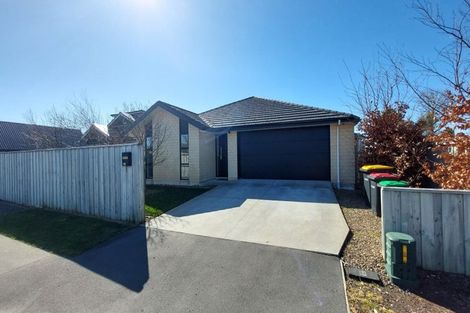 Photo of property in 256 Lyttelton Street, Spreydon, Christchurch, 8024