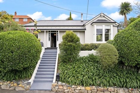 Photo of property in 53 Tweed Street, Roslyn, Dunedin, 9010