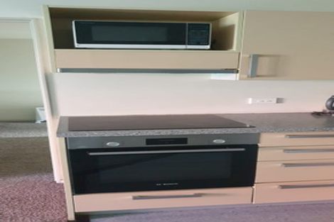 Photo of property in Dual Apartments, 110/142 Vivian Street, Te Aro, Wellington, 6011