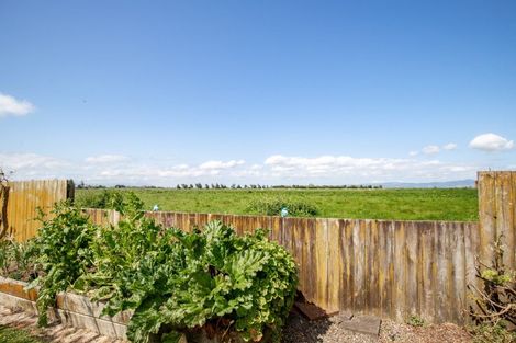 Photo of property in 8 Harris Place, Ngatea, 3503