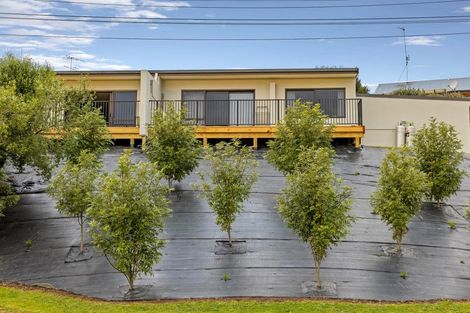 Photo of property in 4a Scott Street, Gate Pa, Tauranga, 3112