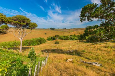 Photo of property in 81 Upper Wainui Road, Raglan, 3297