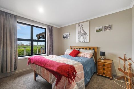 Photo of property in 1636 Alexandra Road, Waharoa, 3474