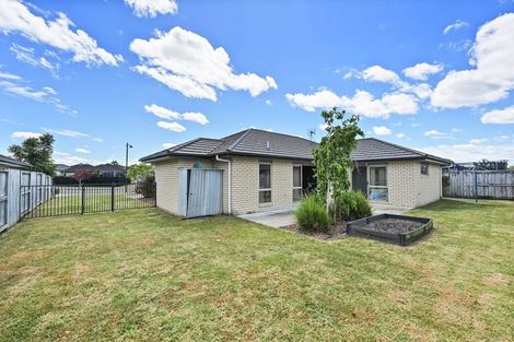 Photo of property in 11 Trauzer Place, Flagstaff, Hamilton, 3210