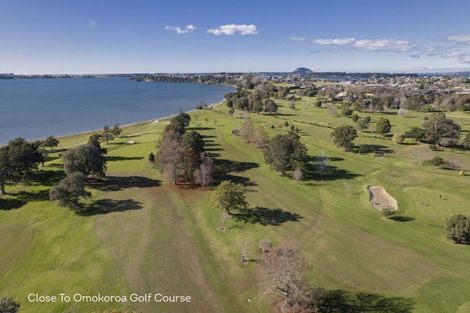 Photo of property in 3 Augusta Rise, Omokoroa, 3114