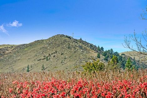 Photo of property in 79 Scotland Street, Roxburgh, 9500