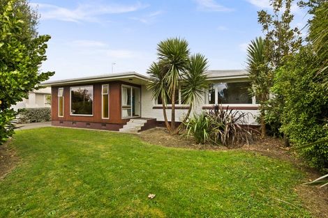 Photo of property in 43 Oldham Avenue, Onekawa, Napier, 4110
