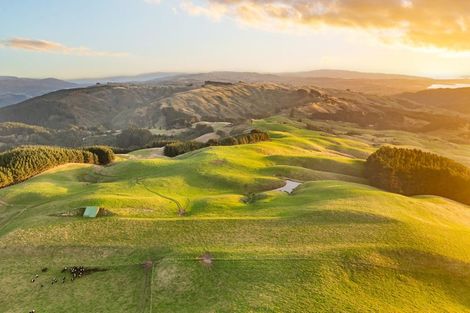 Photo of property in 492 Moonshine Hill Road, Moonshine Valley, Porirua, 5381
