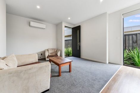 Photo of property in 14u2 Mitcham Avenue, Forest Lake, Hamilton, 3200