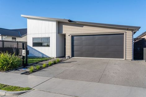 Photo of property in 38 Capper Crescent, Chartwell, Hamilton, 3210